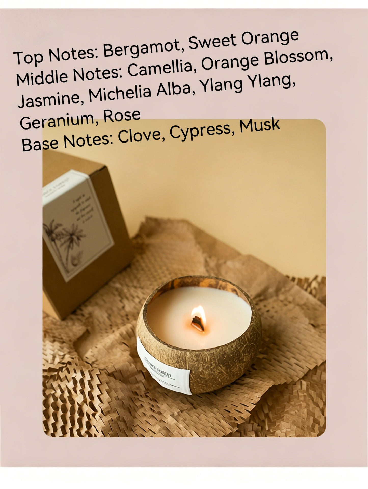 Vela Aromática de Cera de Soja Natural | Vela Aromática de Concha de Coco