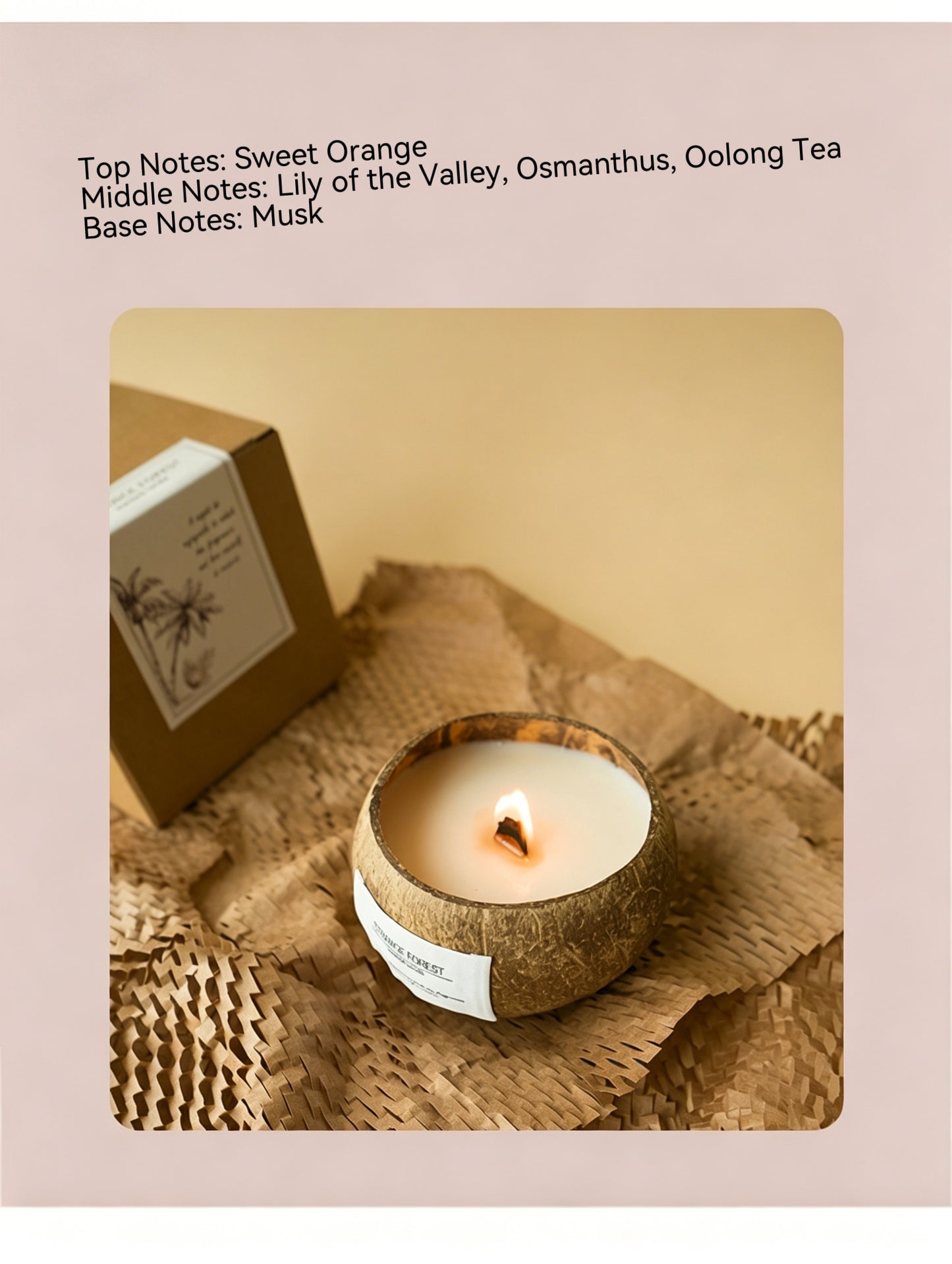 Vela Aromática de Cera de Soja Natural | Vela Aromática de Concha de Coco